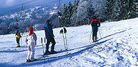 několik lyžařských areálů